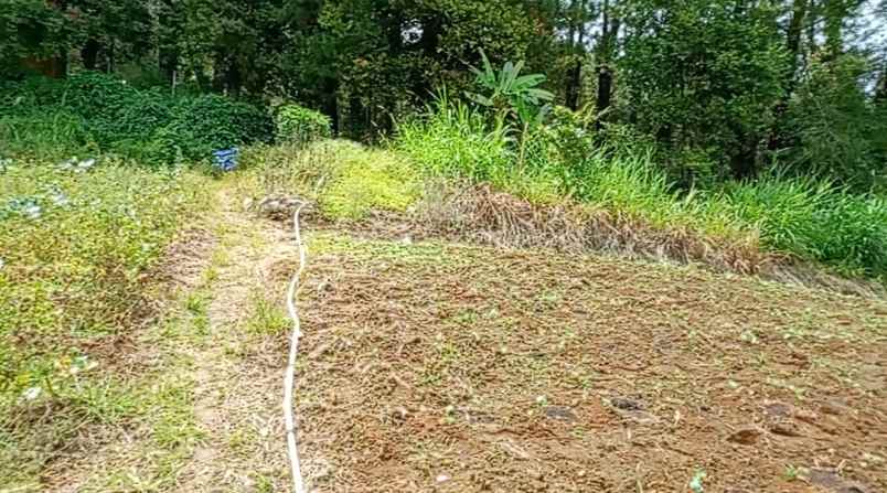 peceren berastagi tanah premium shm 14 236m dijual