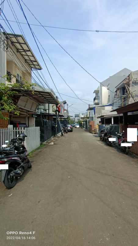 rumah kelapa cengkir kelapa gading