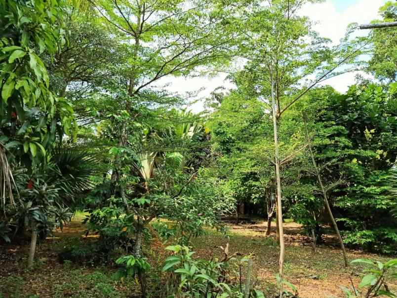 rumah mewah semi furnished di sukarame bandar lampung