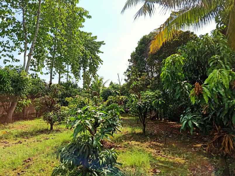 rumah mewah semi furnished di sukarame bandar lampung