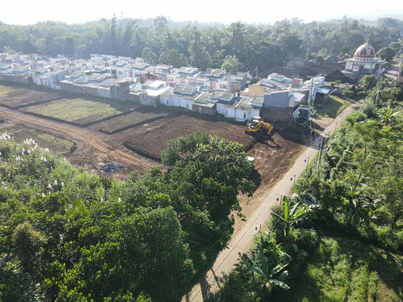 rumah ngamprong desa banjarejo