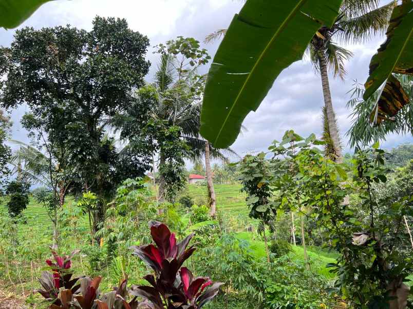 rumah siap huni mojogedang karanganyar