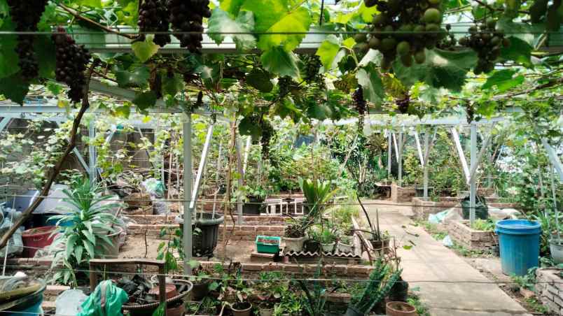 rumah siap huni terawat di soekarno hata kota bandung