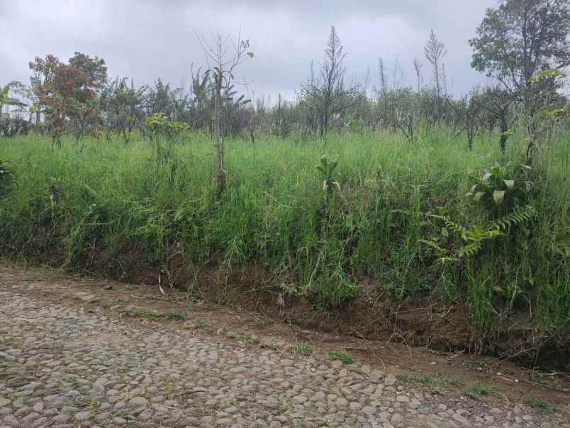 super murah lingkungan asri strategis di kota batu