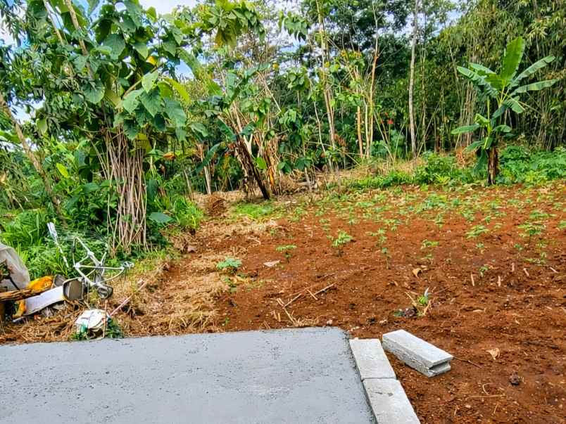 tanah 175 juta dekat pasar mojogedang karanganyar