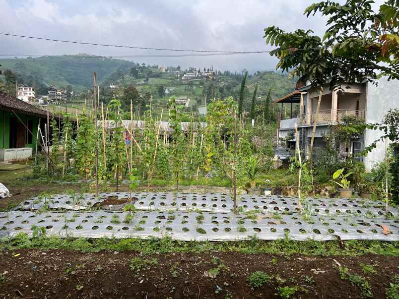 tanah 175 juta siap bangun villa kemuning