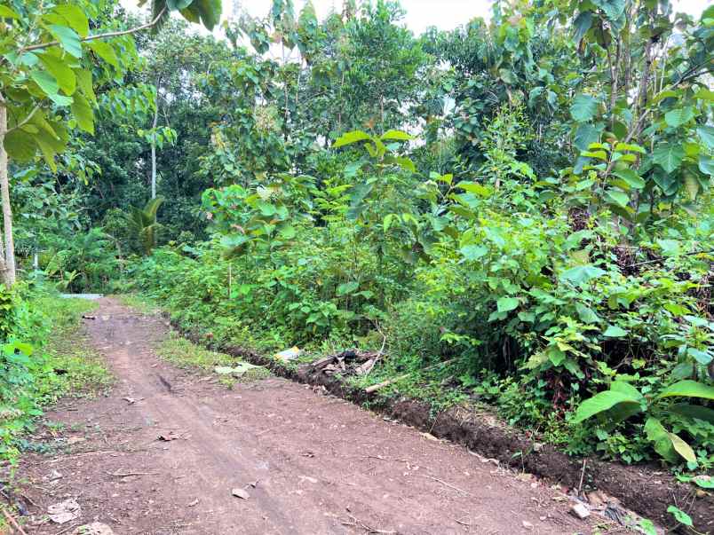 tanah 417m2 hanya 125 juta mojogedang karanganyar