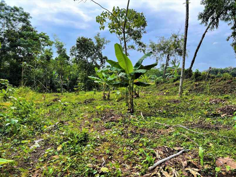 tanah 417m2 hanya 125 juta mojogedang karanganyar