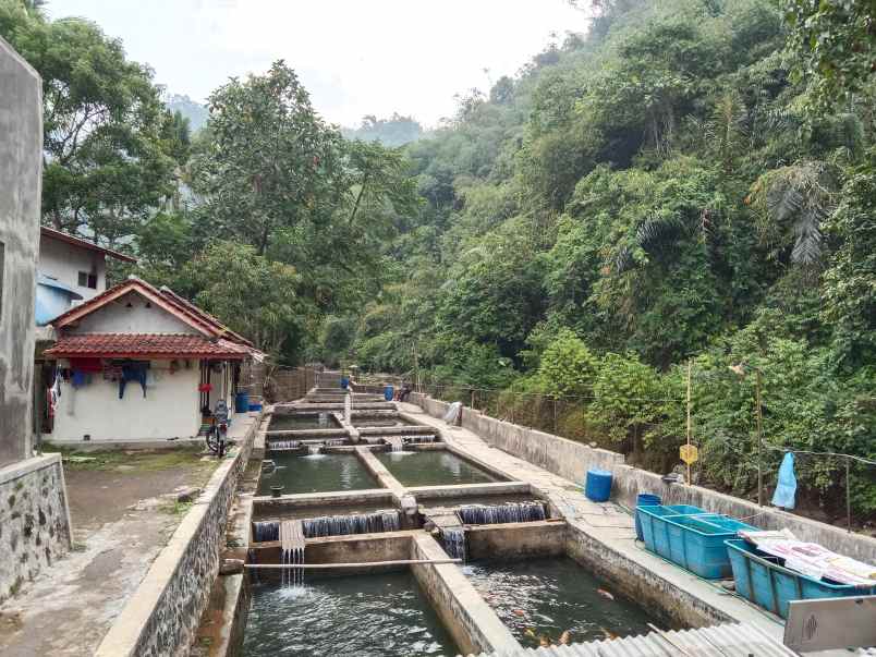 tanah bangunan kolam deras subang jawa barat