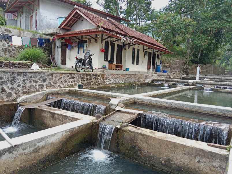 tanah bangunan kolam deras subang jawa barat