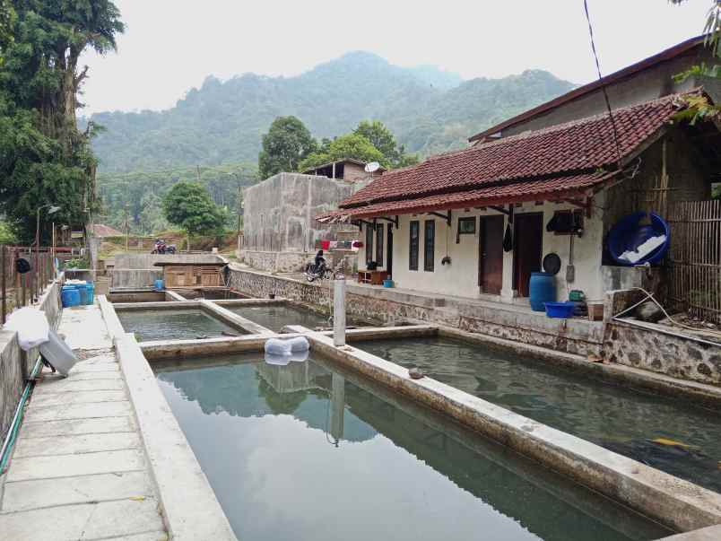 tanah bangunan kolam deras subang jawa barat