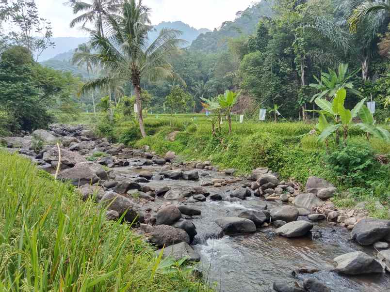 tanah bangunan kolam deras subang jawa barat