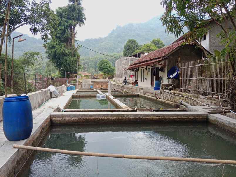 tanah bangunan kolam deras subang jawa barat