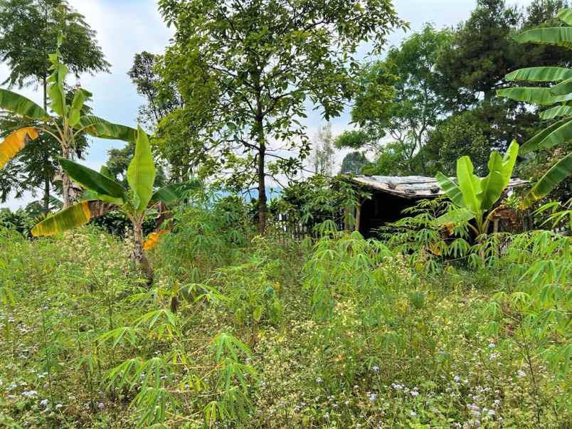 tanah cocok buat villa barat pasar tawangmangu