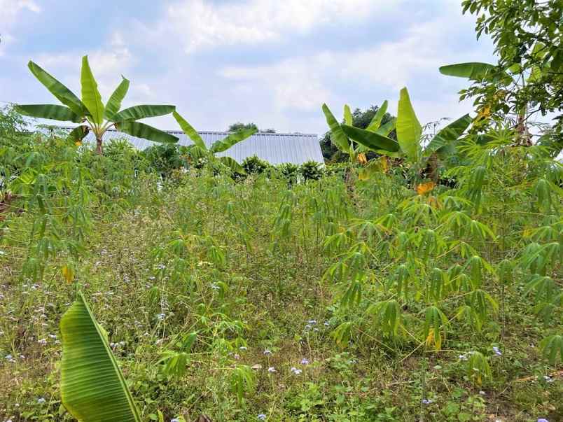 tanah cocok buat villa barat pasar tawangmangu