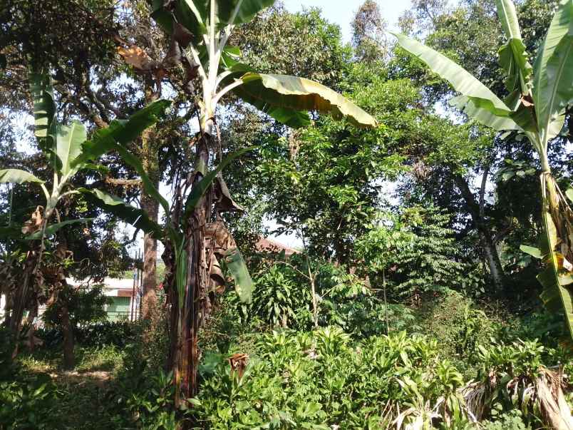 tanah daerah ciater subang jawa barat