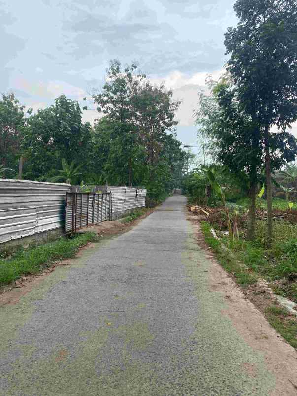 tanah daerah meteseh semarang belakang bukit kencana