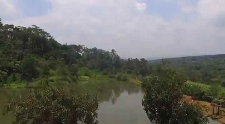 tanah dapat situ danau ada pohon buah nya subang