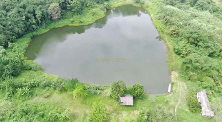 tanah dapat situ danau ada pohon buah nya subang