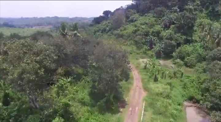 tanah dapat situ danau ada pohon buah nya subang