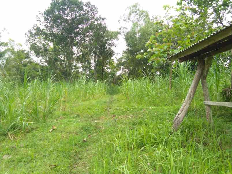 tanah di karang anyar jari agung luas 6200m shm