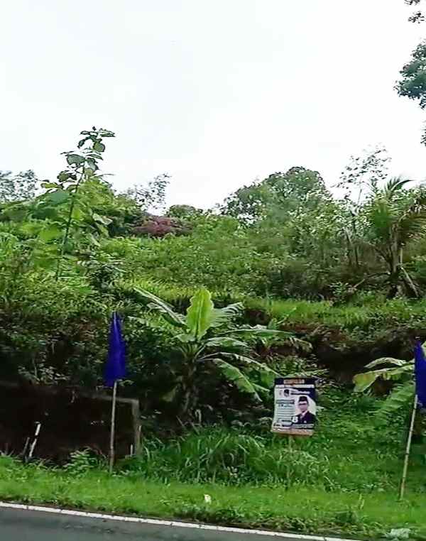 tanah dijual di patuk gunung kidul yogyakarta