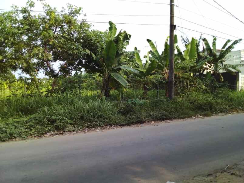 tanah dijual lokasi cilegon banten