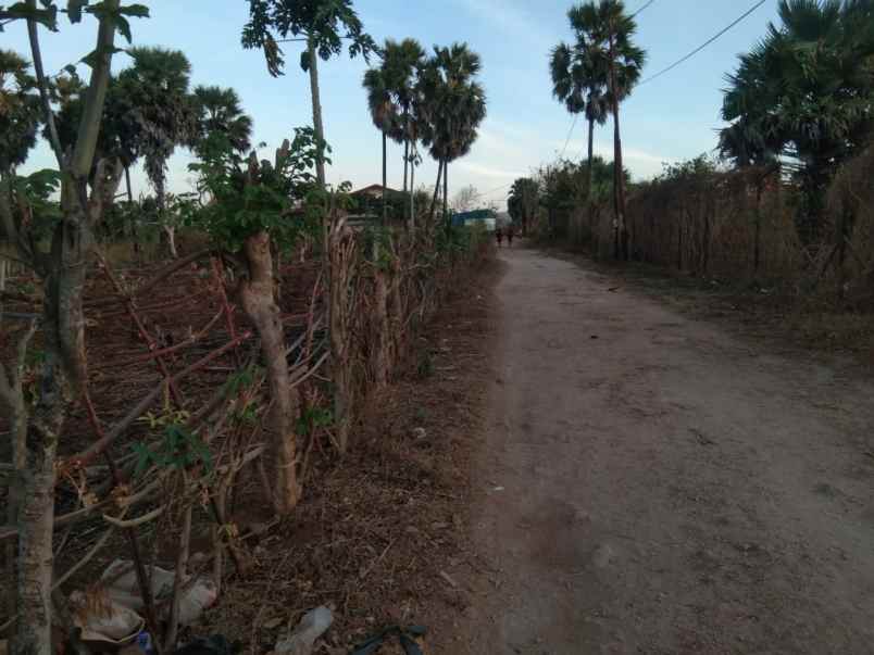 tanah kavling di penfui timur kupang tengah ntt