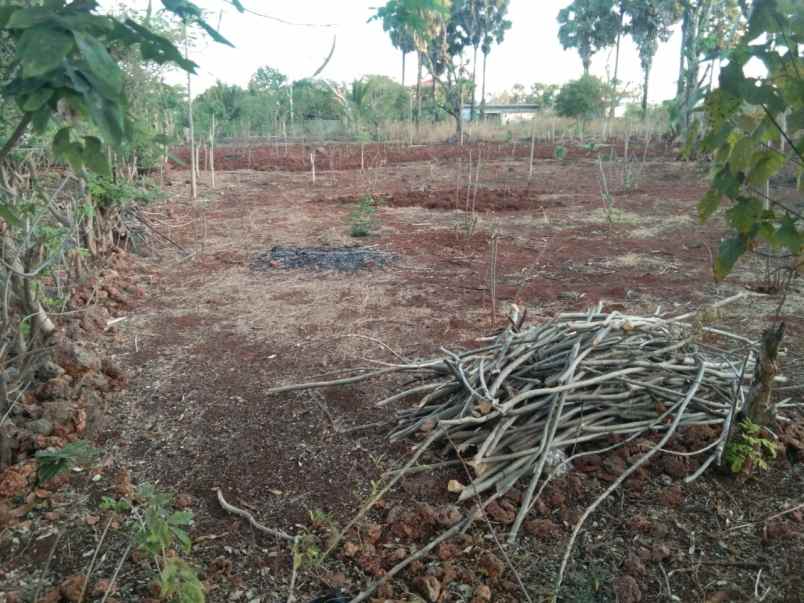 tanah kavling di penfui timur kupang tengah ntt