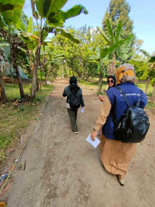 tanah kavling murah punikan lingsar lombok barat