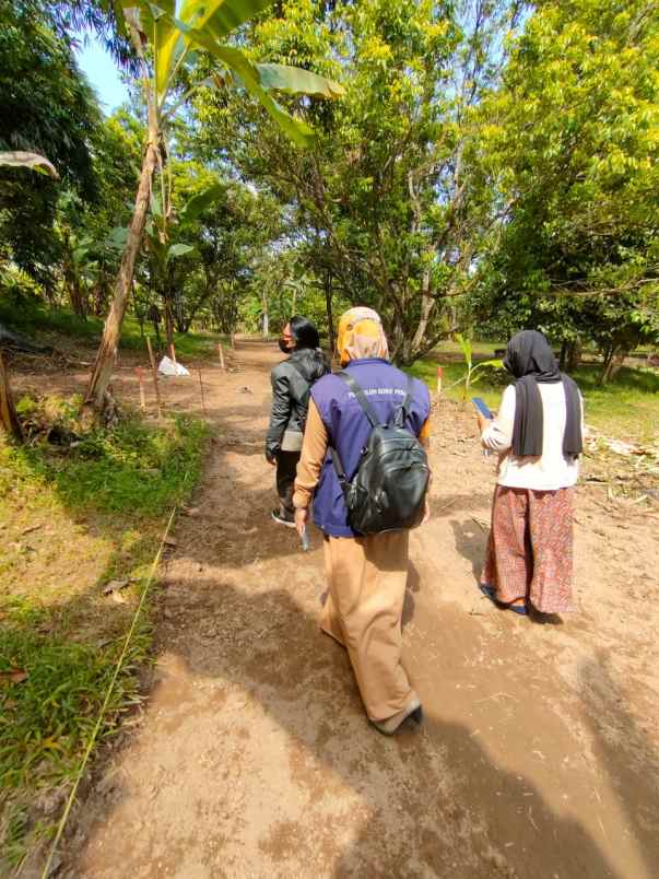 tanah kavling murah punikan lingsar lombok barat