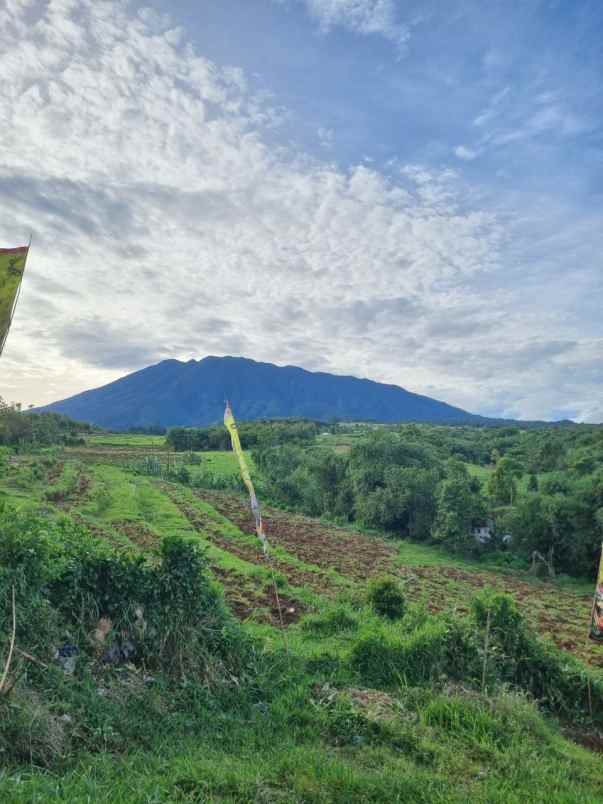 tanah kavling puncak bogor