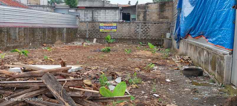 tanah kebun di sewa kan tahun