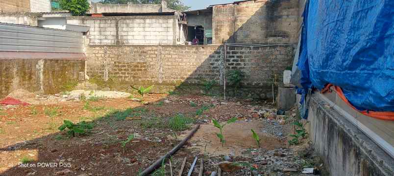 tanah kebun di sewa kan tahun