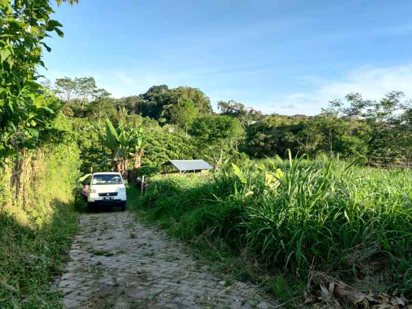 tanah kebun subur harga aik di giripurno kota batu