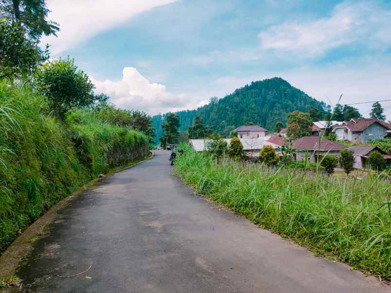 tanah kemuning ngargoyoso