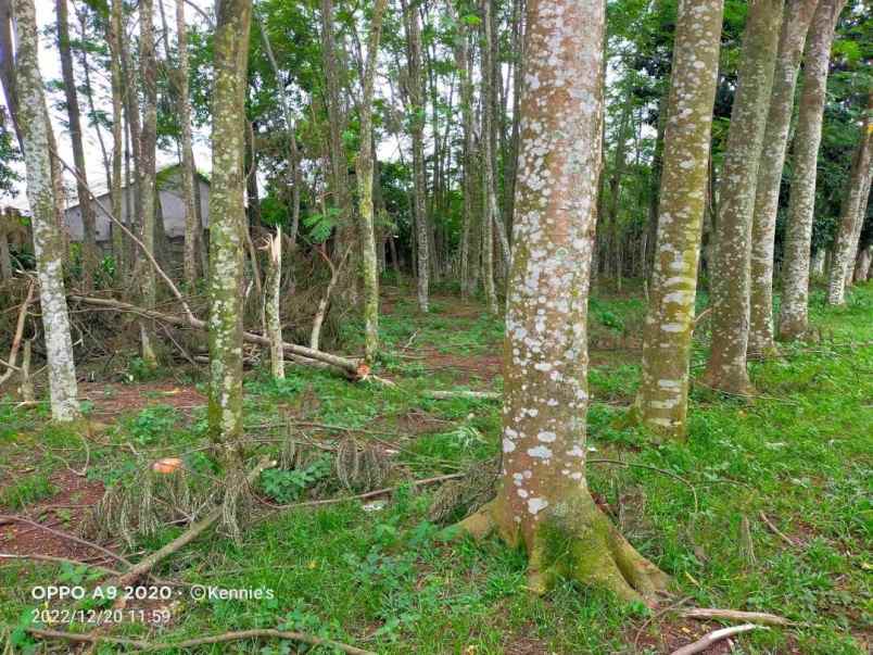 tanah komersial 5000 jl rancaiyuh legok abu abu utara