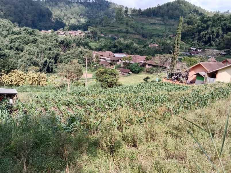 tanah luas shm cocok untuk tani di kota batu