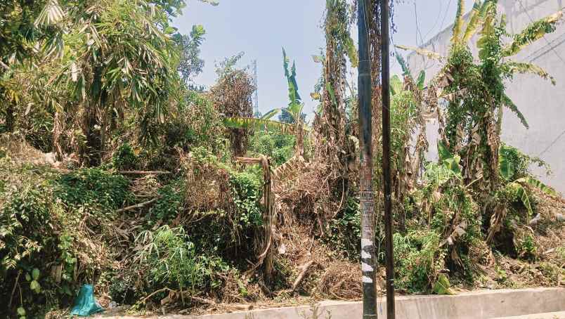 tanah mulawarman dekat undip harga ekonomis