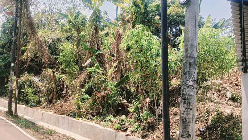 tanah mulawarman dekat undip harga ekonomis