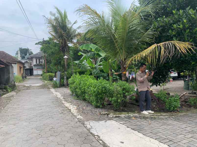 tanah murah jogja dijual cepat dekat ugm hanya 3 jt an