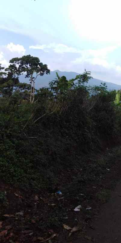 tanah murah rancakalong sumedang