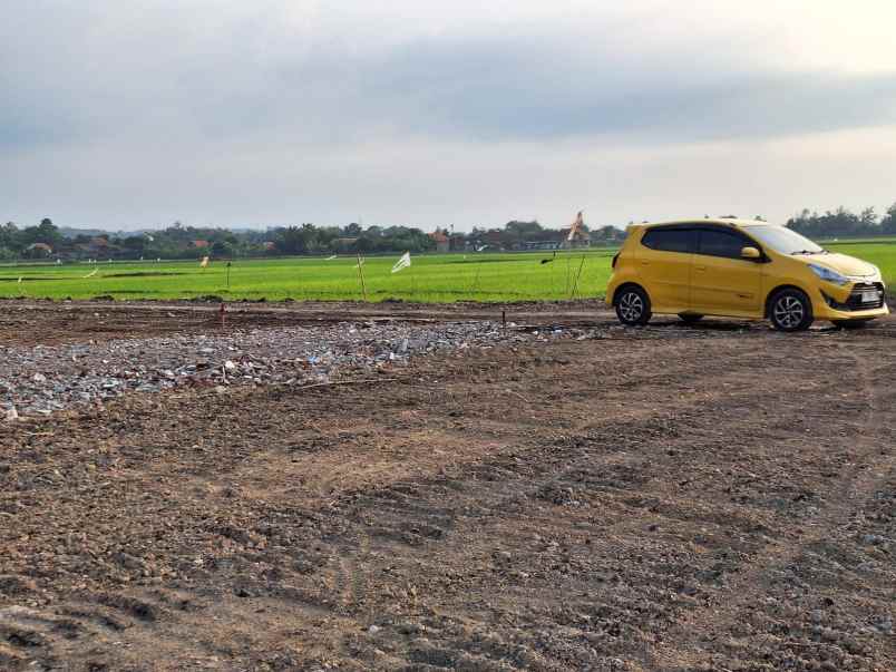 tanah murah sarirejo sekopek kaliwungu