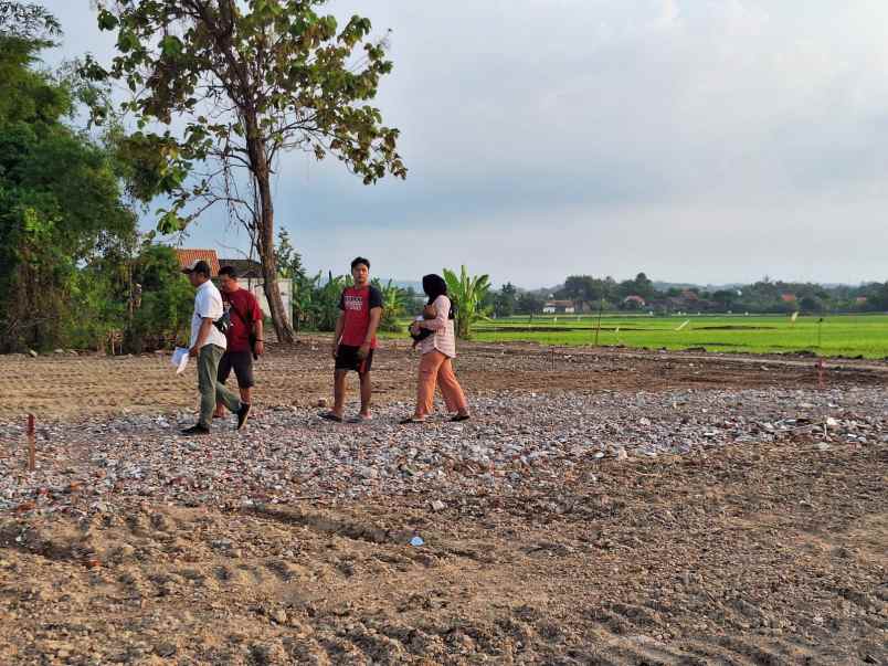 tanah murah sarirejo sekopek kaliwungu