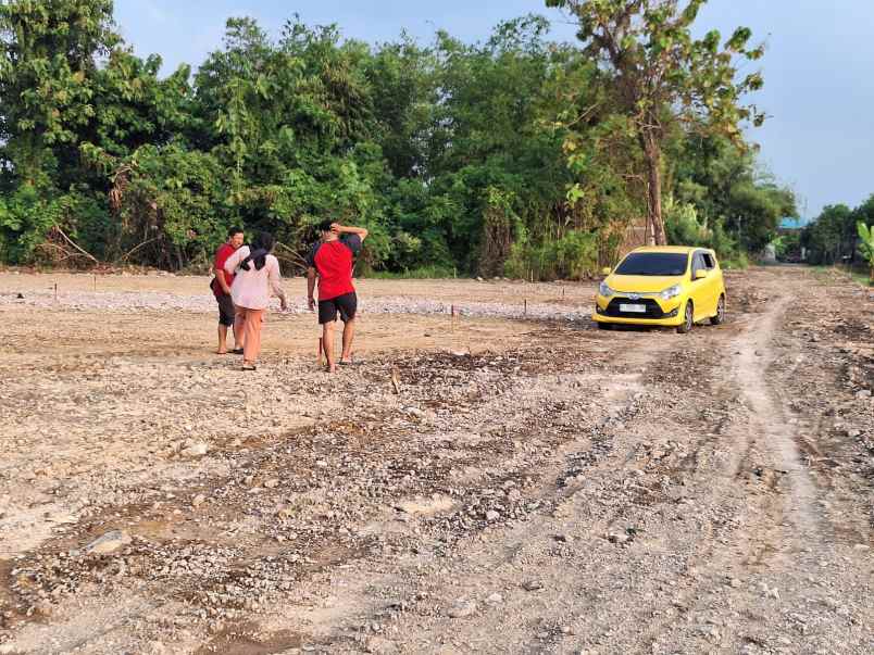 tanah murah sarirejo sekopek kaliwungu