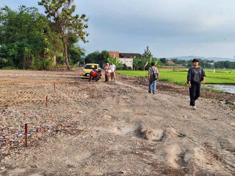 tanah murah sarirejo sekopek kaliwungu