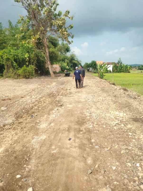 tanah murah sarirejo sekopek kaliwungu