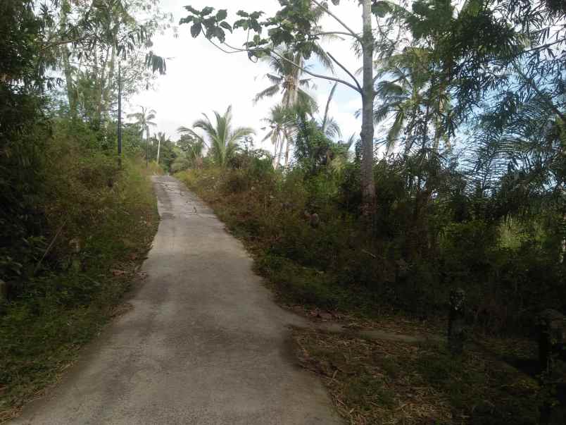 tanah pantai soka selemadeg tabanan