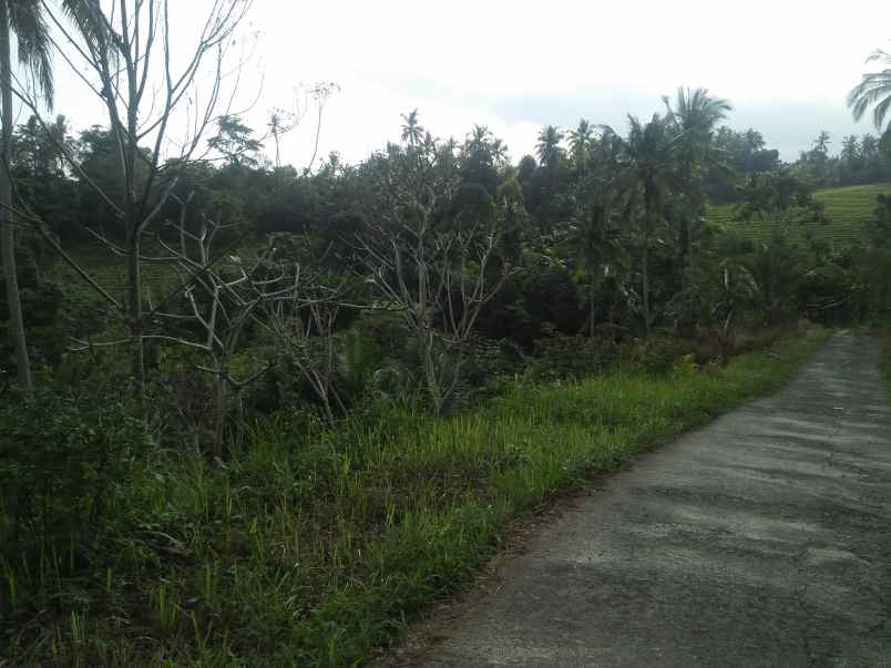 tanah pantai soka selemadeg tabanan