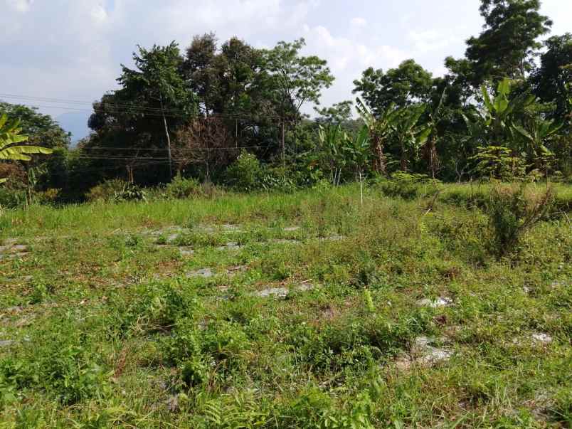 tanah strategis ciater subang